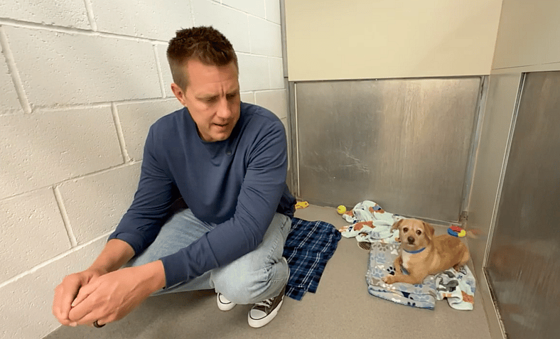 Tiny Terrier Barked at Everyone—But One Leash Changed Everything